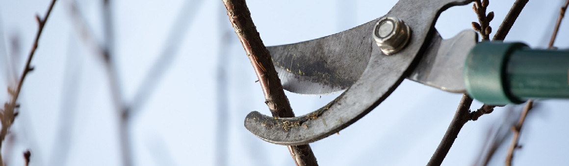 ERD-/PFLASTERARBEITEN