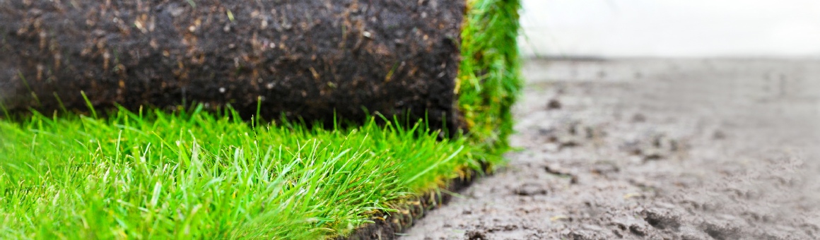 ERD-/PFLASTERARBEITEN