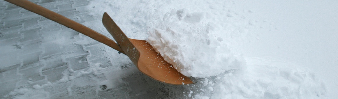 ERD-/PFLASTERARBEITEN